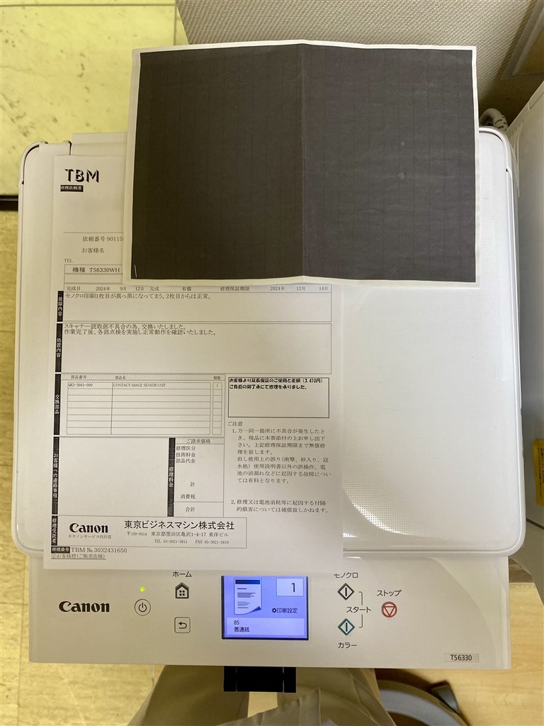 修理しても、謎の症状』 CANON PIXUS TS6330 [ホワイト] at_freedさん