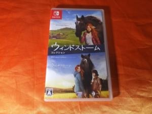 4Divinity ウィンドストーム ザ・コレクション [Nintendo Switch