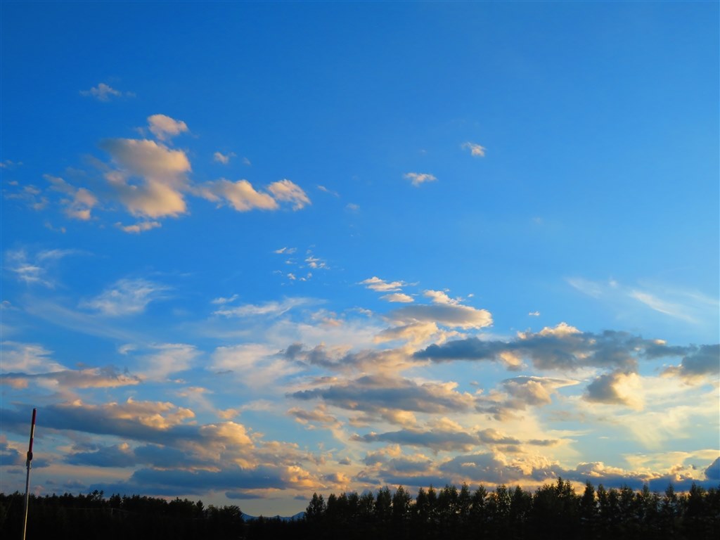 ド素人には高機能』 CANON PowerShot SX720 HS [レッド] イブPさんの