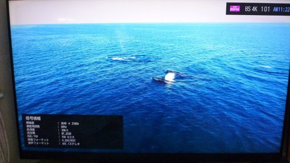 パナソニック LUMIX DMC-FX66で撮影された写真 - 価格.com