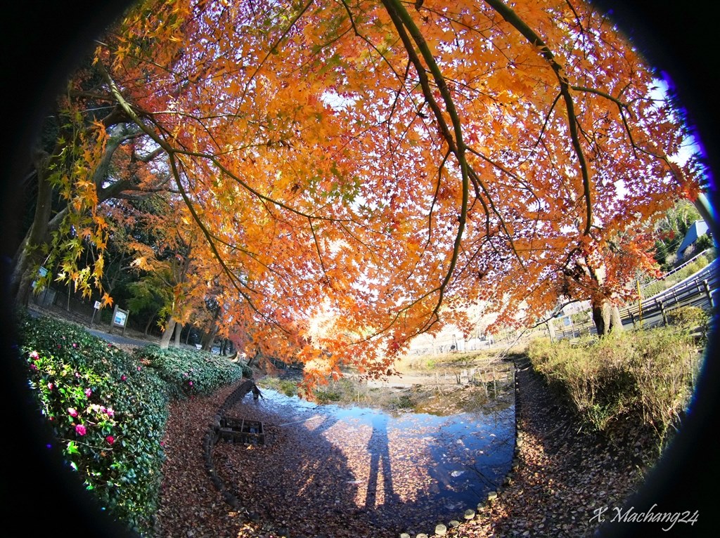 Tokina 8mm F2.8 FISH-EYEレンズ Tokina-SZ-8mmfisheye-fuji-
