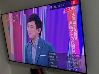 決して大きすぎるわけではなくちょうど良いです』 パナソニック VIERA