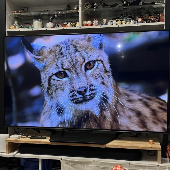 映像に関しては悪くはないが、音質はイマイチ』 ハイセンス 55U8N [55