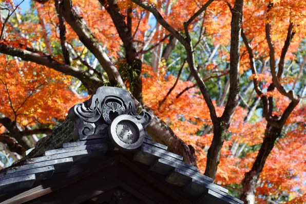 京セラ Carl Zeiss Planar T* 50mm F1.7 (MM)投稿画像・動画 - 価格.com