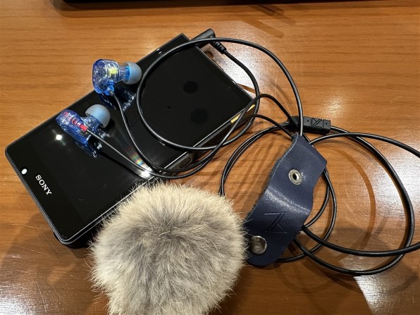 Maestraudio MA910SB OTA-MA910SB-GRY [スモークグレー] 価格比較