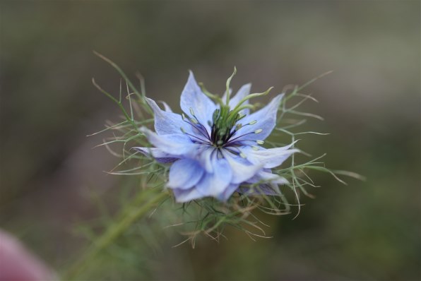 パナソニック LUMIX G 42.5mm/F1.7 ASPH./POWER O.I.S. H-HS043 パナソニック LUMIX G 42.5mm/F1.7 ASPH./POWER O.I.S. H-HS043