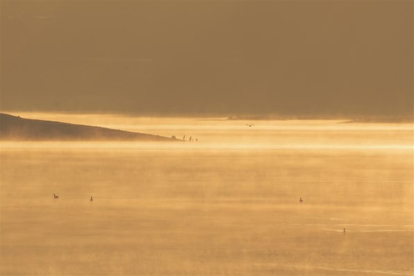 ペンタックス HD PENTAX-D FA 150-450mmF4.5-5.6ED DC AW投稿 ペンタックス HD PENTAX-D FA 150-450mmF4.5-5.6ED DC AW投稿