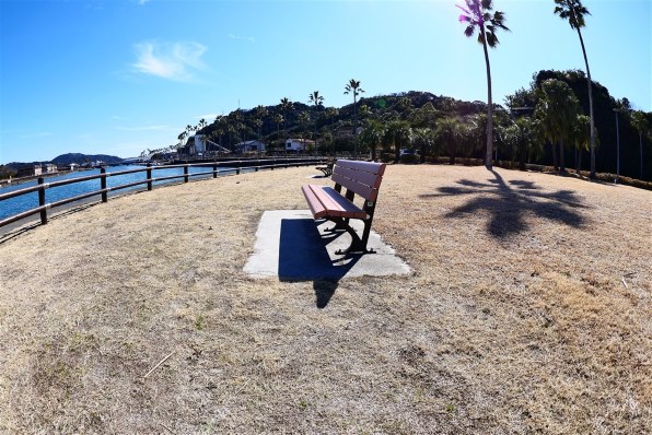 パナソニック LUMIX G FISHEYE 8mm/F3.5 H-F008投稿画像・動画 パナソニック LUMIX G FISHEYE 8mm/F3.5 H-F008投稿画像・動画