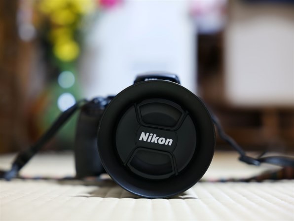 ニコン COOLPIX P1100投稿画像・動画 - 価格.com