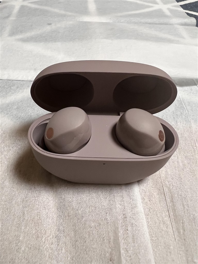 【未使用に近い】SONY WF-1000XM5 スモーキーピンク(P) 試聴のみ SONY WF-1000XM5 PC スモーキーピンク｜新品通販フジヤエービック