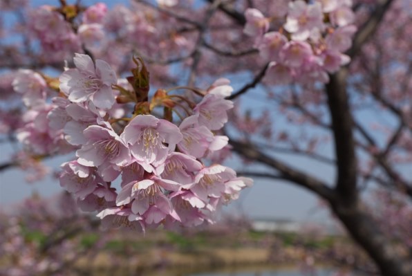 SONY GM FE16-35mm F2.8【作例有り】 SONY FE 16-35mm F2.8 GM II SEL1635GM2で撮影された写真