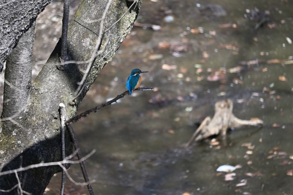 生写真確認用part4 生写真確認用part4