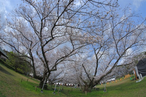 富士フイルム FUJIFILM X-T100 ダブルズームレンズキット