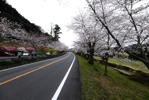 TOKINA AT-X 107 DX Fish Eye 10-17mm F3.5-4.5 (ﾆｺﾝ用