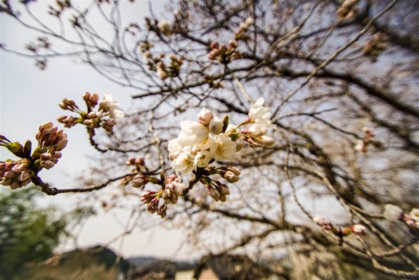 TAMRON SP AF 10-24mm F/3.5-4.5 Di II LD Aspherical [IF] (Model