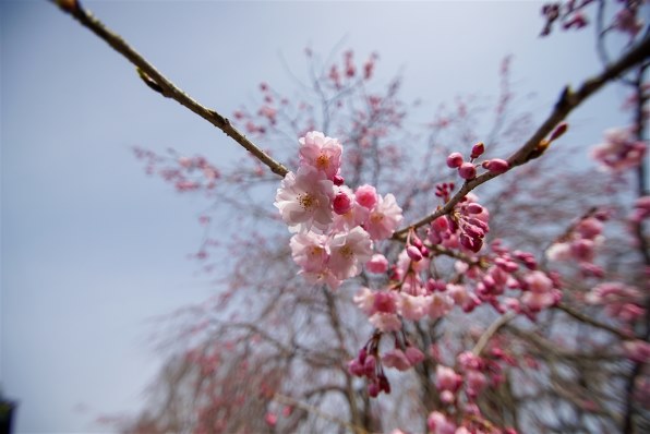 TAMRON SP AF 10-24mm F/3.5-4.5 Di II LD Aspherical [IF] (Model