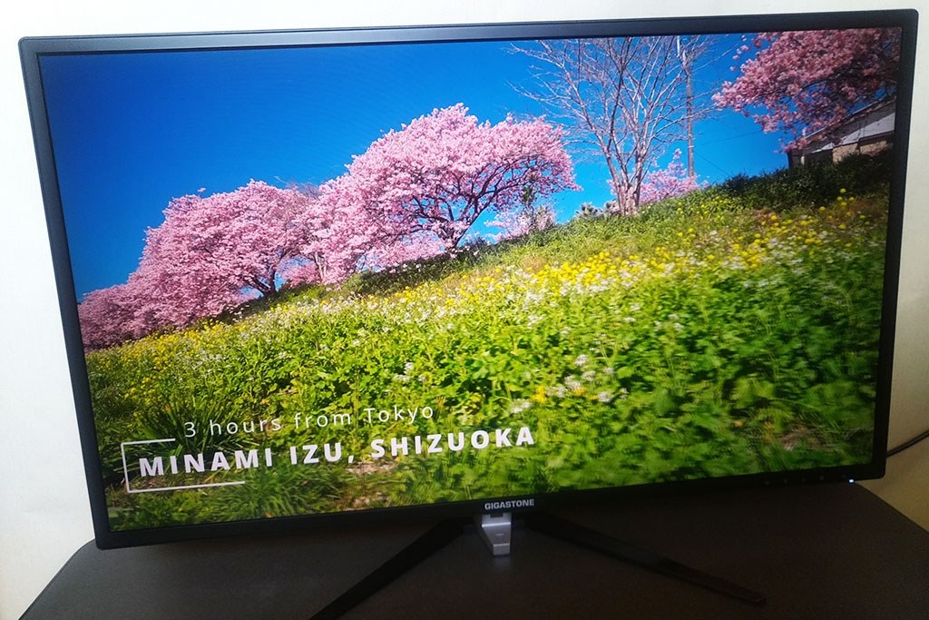 GIGASTONE 32インチ IPS モニター 1080P Gigastone IPS液晶モニター 31.5型/1920×1080/HDMI・VGA入力端子