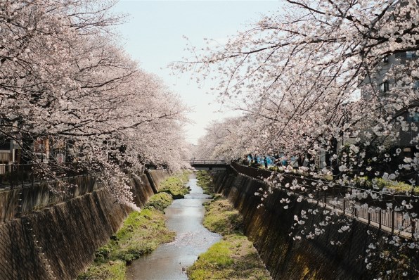富士フイルム FUJIFILM X-M5 XC15-45mmレンズキット [ブラック