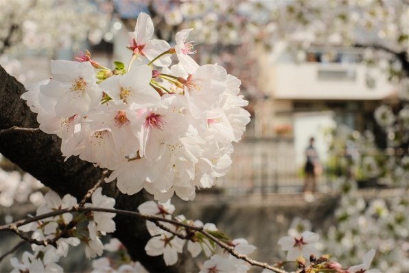 富士フイルム FUJIFILM X-M5 XC15-45mmレンズキット [ブラック 富士フイルム FUJIFILM X-M5 XC15-45mmレンズキット [ブラック
