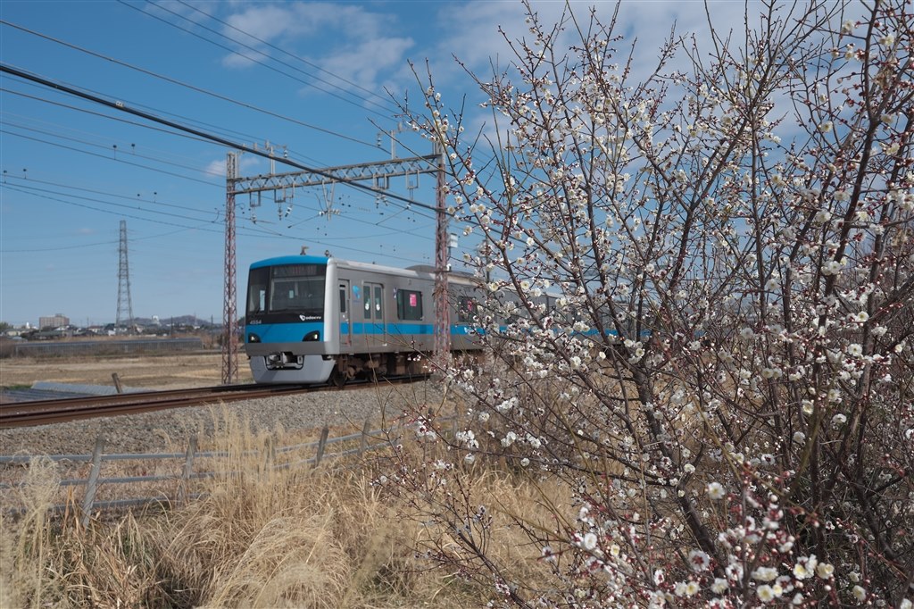 難しい画角のレンズだと思います』 ニコン NIKKOR Z 35mm f/1.8 難しい画角のレンズだと思います』 ニコン NIKKOR Z 35mm f/1.8