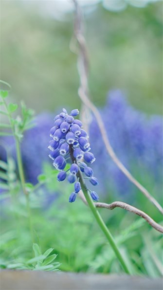 SONY E 35mm F1.8 OSS SEL35F18 価格比較 - 価格.com SONY E 35mm F1.8 OSS SEL35F18 価格比較 - 価格.com