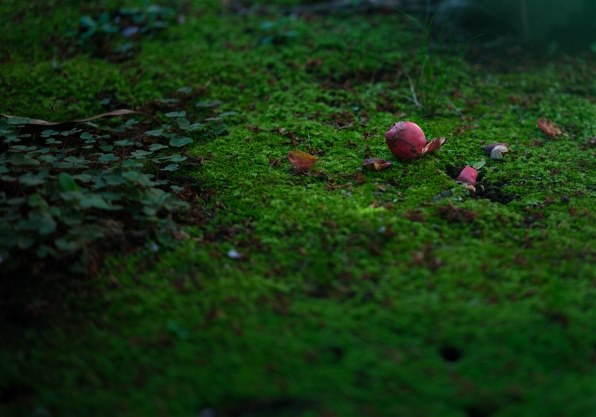 VILTROX AF 75mm F1.2 XF Pro [フジフイルム用] レビュー評価
