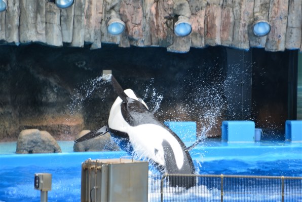 TAMRON 28-300mm F/3.5-6.3 Di VC PZD (Model A010) [ニコン用]投稿