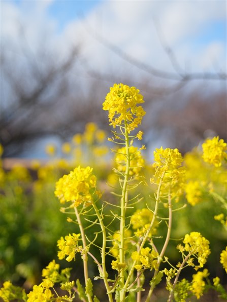 超レア伝説の銘玉PENTAX645 45-85mmレンズ超美品早い者勝ち 超レア伝説の銘玉PENTAX645 45-85mmレンズ超美品早い者勝ち