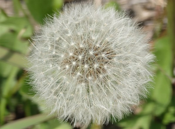 SONY Xperia 1 VI SO-51E docomo [プラチナシルバー]投稿画像・動画