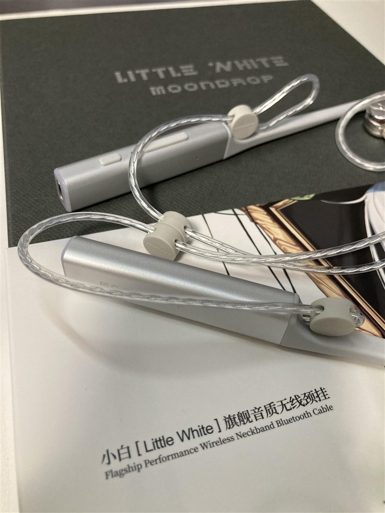 感動的な完成度、ネックバンド型レシーバーの欠点がすべて解決』 水月