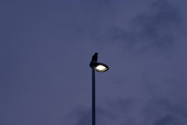 SONY DT 55-200mm F4-5.6 SAM SAL55200-2 価格比較 - 価格.com