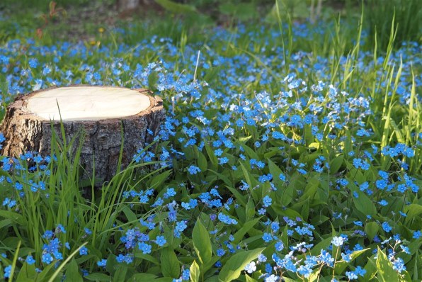 オリンパス M.ZUIKO DIGITAL ED 14-150mm F4.0-5.6 IIで撮影された写真