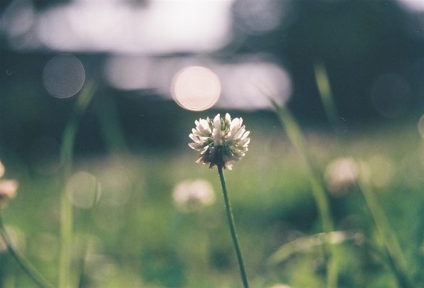 ニコン F5 ボディ投稿画像・動画 - 価格.com