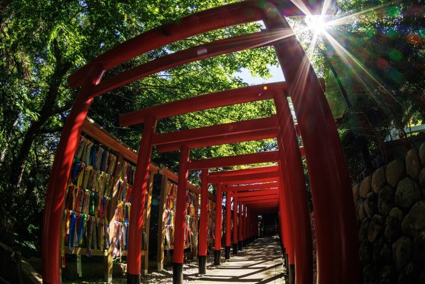 TOKINA AT-X 107 DX Fish Eye 10-17mm F3.5-4.5 (ｷﾔﾉﾝ用)投稿