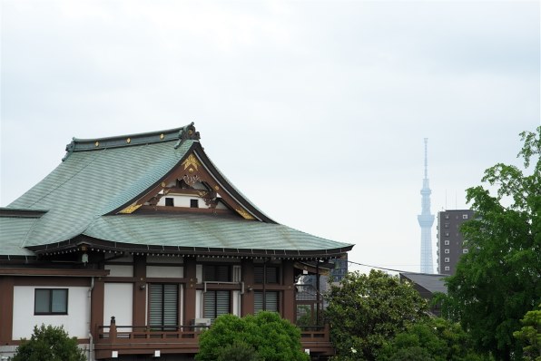 コニカ ミノルタ AF ZOOM 100-200mm F4.5で撮影された写真