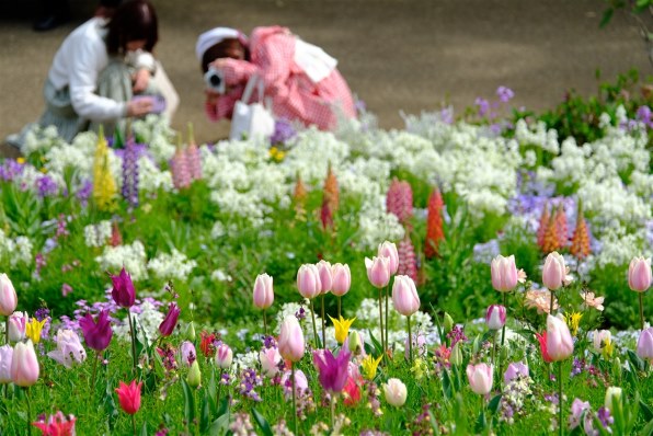 フィルター付けるとフードの着脱がしにくくなる』 富士フイルム