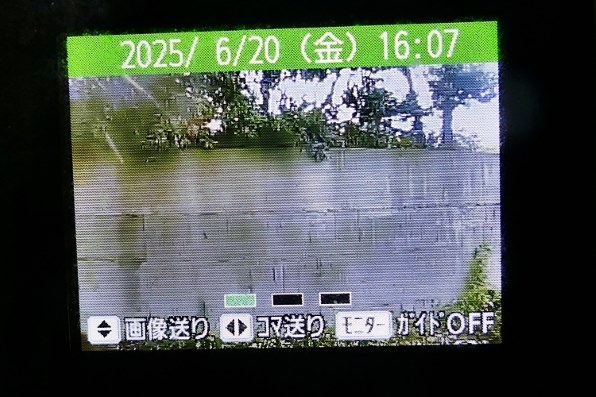 【作例あり】Panasonic LUMIX DMC-FZ1000 デジタルカメラ □美品□ PANASONIC DMC-FZ1000 作例あり】Panasonic LUMIX DMC-FZ1000