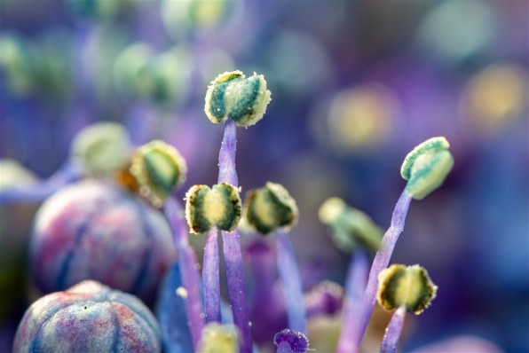 その他 SP AF180F3.5DI LD IF M(B01E) Amazon.co.jp: TAMRON 単焦点マクロレンズ SP AF180mm F3.5 Di