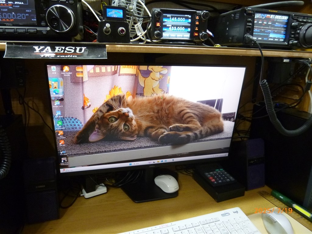 DELLのモニターは安くても最高だね。』 Dell SE2725HG [27インチ] 蒸気