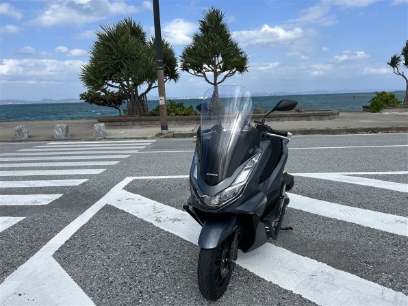 パんだ 8501900B3025012300600.jpg
