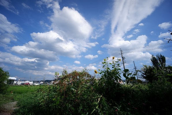 富士フイルム FUJIFILM X-A5 レンズキット [ブラウン]で撮影された写真