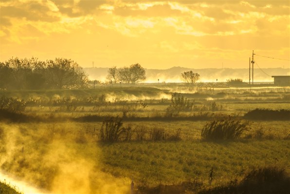 ペンタックス HD PENTAX-DA 55-300mmF4.5-6.3ED PLM WR RE投稿画像