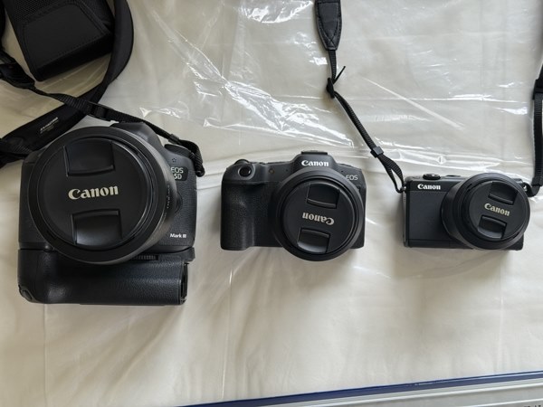 【中古】(キヤノン) Canon キヤノン EOS R8 RF24-50 IS STM レンズキツト 中古】(キヤノン) Canon キヤノン EOS R8 RF24-50 IS STM レンズキツト