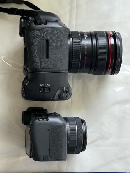 Canon EOS R8 24-50 レンズキットほぼ新品 新品)Canon (キヤノン) EOS R8 RF24-50mm IS STM レンズキット