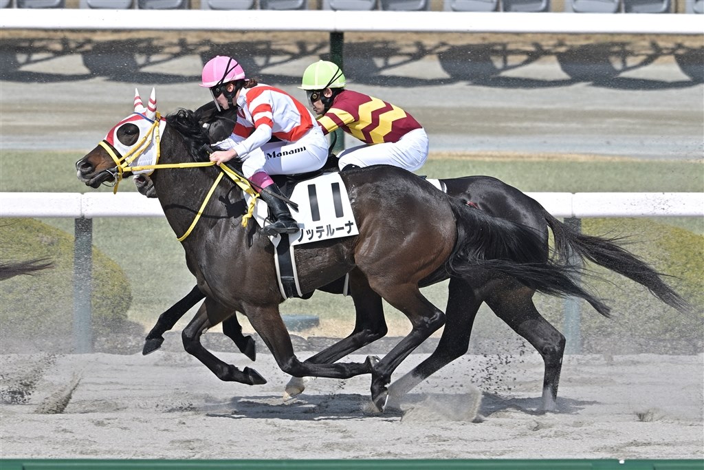 うま トリックスター / Ninja ZX-6R(24-25) 政府認証スリップオンマフラー