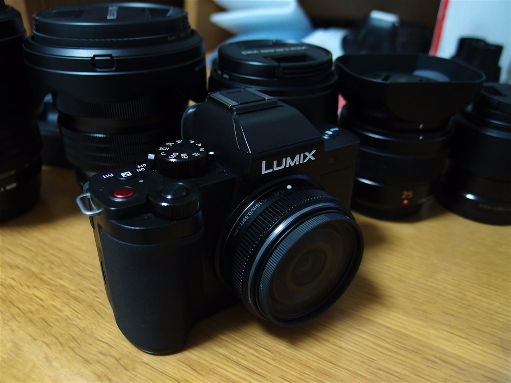 「makoto」LUMIX DC-G100DK レンズキット 概要 デジタル一眼カメラ/レンズキット DC-G100DK | LUMIX