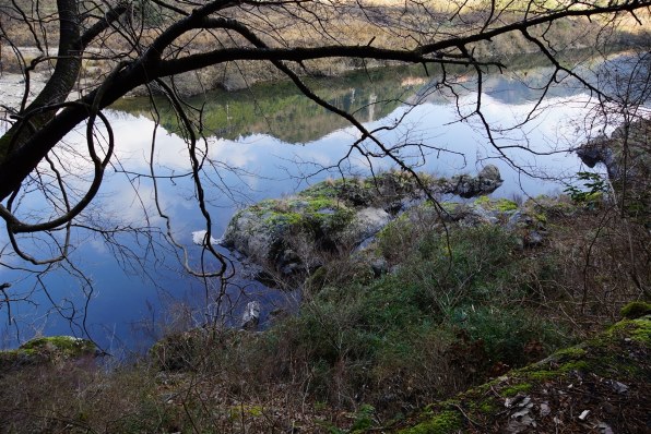 SONY Vario-Sonnar T＊ DT 16-80mm F3.5-4.5 ZA SAL1680Z投稿画像