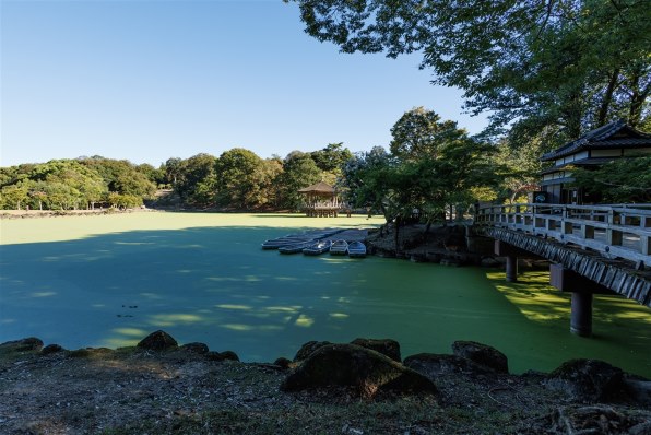 CANON RF16mm F2.8 STM 価格比較 - 価格.com