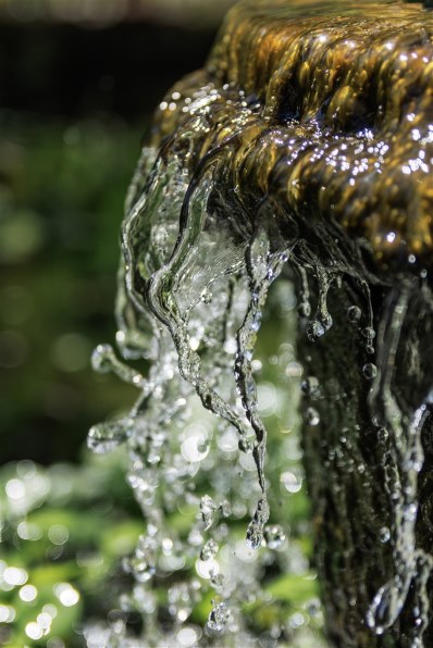 シグマ 17-50mm F2.8 EX DC OS HSM [キヤノン用]投稿画像・動画 - 価格.com