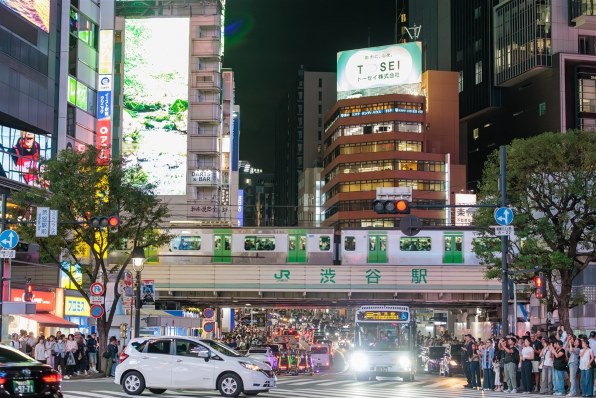 Canon EF70-300mm f4-5.6L IS USM【作例あり】 Canon EF70-300mm F4-5.6L IS USMを徹底解説。作例からレビュー